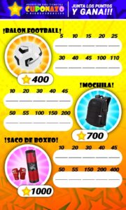 PLANILLA SACO DE BOXEO