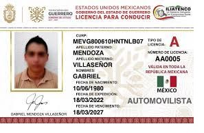 LICENCIA DE GUERREO